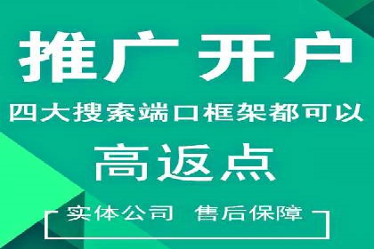SEM推广策略：实操案例分享